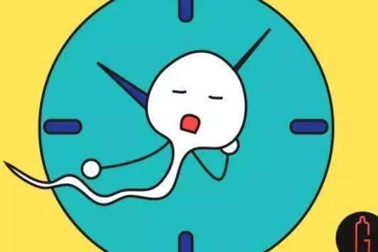 中美试管婴儿