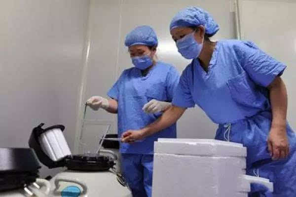 试管婴儿对女性的伤害